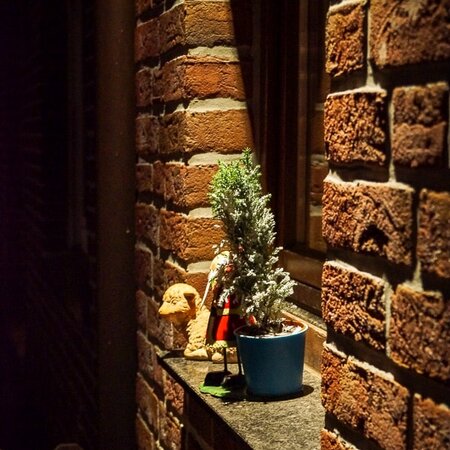Nightlight