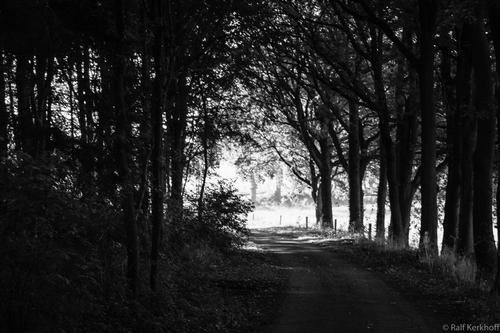 Into The Sun