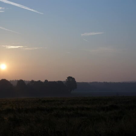 October Morning