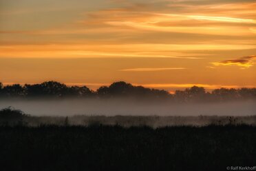 Morning Mist