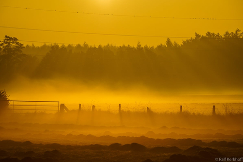 Smoking Fields