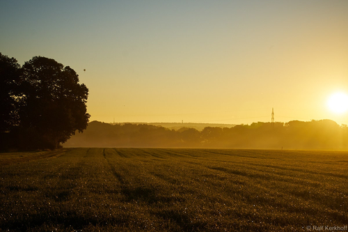 Golden Sunset