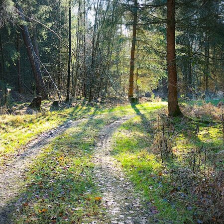 Landschaft