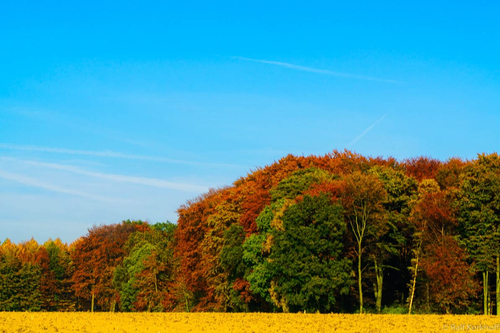 Herbstlandschaft