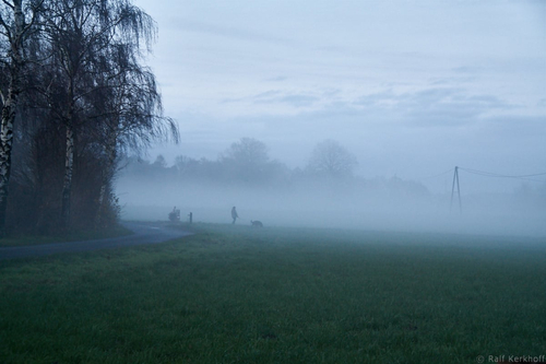 Fogwalk
