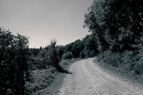 The Way