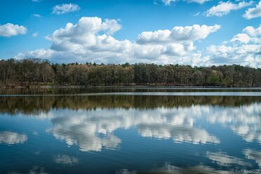 Fluffy Clouds