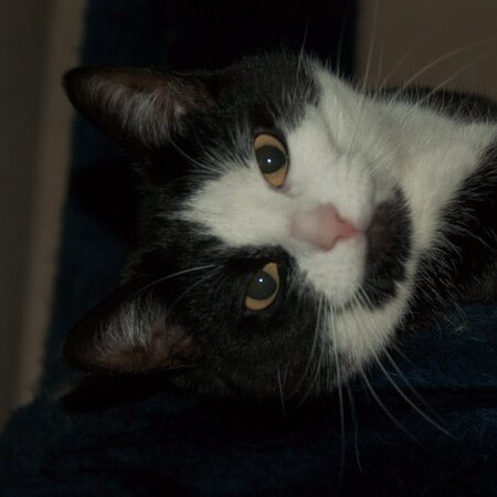 Lucy