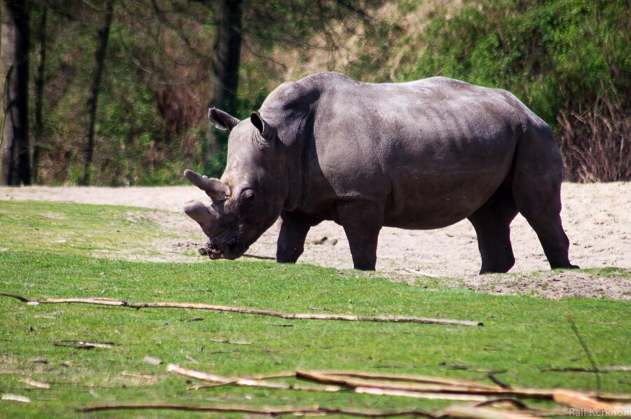 Burgers Zoo