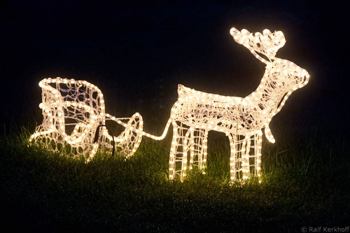 Rudolf